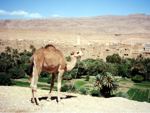 Villaggio berbero - Marocco