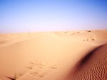 Dune - Marocco