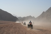 Deserto del Sinai