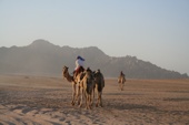 Deserto del Sinai