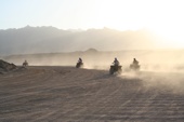 Deserto del Sinai