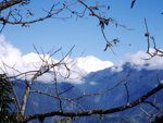 Sikkim