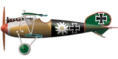 Albatros D.V di Paul Baumer