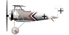 Pfalz D.VIII