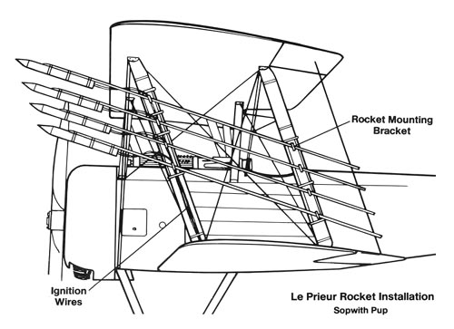 pup%20leprieur.jpg