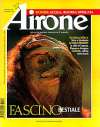 Questa rivista non  disponibile on line