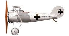 Pfalz Dr.1