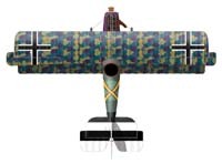 Pfalz D.XII - L'ultimo degli Pfalz torna alle origini, con ali tozze, adatte ad alte velocità. Da notare gli alettoni maggiorati allo scopo di aumentarne le accelerazioni in rollio.